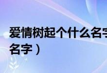 愛(ài)情樹(shù)起個(gè)什么名字（兩個(gè)人的愛(ài)情樹(shù)叫什么名字）