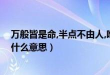 萬般皆是命,半點不由人,唯有自渡(萬般皆是命唯有人自渡什么意思)