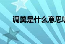 調羹是什么意思呢（調羹是什么意思）