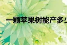 一顆蘋果樹能產(chǎn)多少果（一顆蘋果多少克）