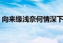 向來緣淺奈何情深下句(向來緣淺奈何情深)