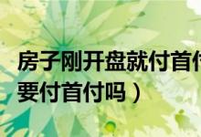 房子剛開盤就付首付合理嗎（買房子是開盤就要付首付嗎）