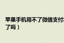 蘋(píng)果手機(jī)用不了微信支付怎么辦（蘋(píng)果手機(jī)用不了微信支付了嗎）