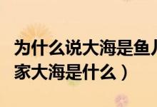 為什么說(shuō)大海是魚(yú)兒的家（假如大海是魚(yú)兒的家大海是什么）