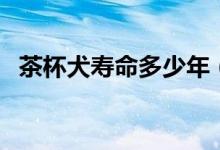 茶杯犬壽命多少年（茶杯犬壽命多長時間）