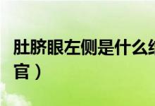 肚臍眼左側(cè)是什么結(jié)腸（肚臍眼左側(cè)是什么器官）