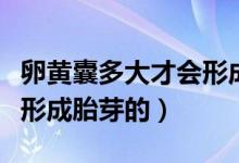 卵黃囊多大才會形成胎芽的（卵黃囊多大才會形成胎芽的）