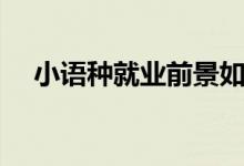 小語(yǔ)種就業(yè)前景如何（就業(yè)待遇好不好）