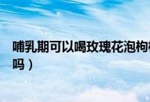 哺乳期可以喝玫瑰花泡枸杞嗎（哺乳期可以喝玫瑰花泡的水嗎）