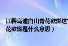 江碧鳥(niǎo)逾白山青花欲燃這首詩(shī)是什么意思（江碧鳥(niǎo)逾白山青花欲燃是什么意思）