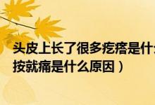 頭皮上長(zhǎng)了很多疙瘩是什么原因按上去痛（頭皮上長(zhǎng)疙瘩一按就痛是什么原因）