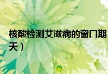 核酸檢測(cè)艾滋病的窗口期（艾滋病核酸檢測(cè)窗口期到底多少天）