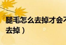 腿毛怎么去掉才會(huì)不再長(zhǎng)起來(lái)男生（腿毛怎么去掉）