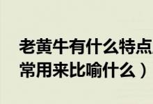老黃牛有什么特點(diǎn),可以比喻什么（老黃牛通常用來比喻什么）