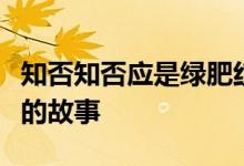 知否知否應是綠肥紅瘦電視劇演的是什么朝代的故事