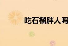 吃石榴胖人嗎（吃石榴胖人嗎）