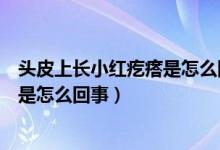 頭皮上長小紅疙瘩是怎么回事用什么藥（頭皮上長小紅疙瘩是怎么回事）