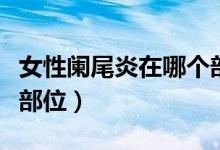 女性闌尾炎在哪個(gè)部位疼（女性闌尾炎在哪個(gè)部位）