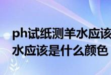 ph試紙測(cè)羊水應(yīng)該是什么顏色（ph試紙測(cè)羊水應(yīng)該是什么顏色）