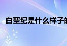 白堊紀是什么樣子的（白堊紀是什么意思）