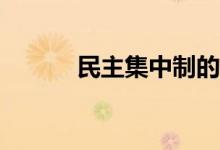 民主集中制的基本原則是什么？