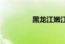 黑龍江嫩江縣屬于哪個(gè)市