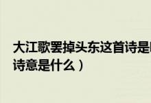 大江歌罷掉頭東這首詩(shī)是哪首詩(shī)（大江歌罷掉頭東這首詩(shī)的詩(shī)意是什么）