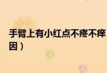手臂上有小紅點(diǎn)不疼不癢（手臂上有小紅點(diǎn)不痛不癢什么原因）