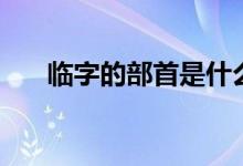 臨字的部首是什么(除去部首剩幾畫(huà))