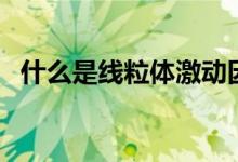 什么是線粒體激動(dòng)因子（什么是線粒體?。?class=