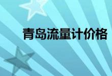 青島流量計價格(qdll基金購買技巧)