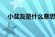 小盆友是什么意思(小盆友是什么意思)