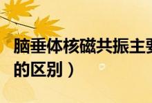 腦垂體核磁共振主要檢查什么（腦ct和磁共振的區(qū)別）