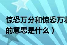 驚恐萬分和驚恐萬狀的意思（驚恐萬狀的意思的意思是什么）