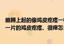 胳膊上起的像雞皮疙瘩一樣還癢怎么回事（胳膊上起了一片一片的雞皮疙瘩、很癢怎么回事）