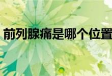 前列腺痛是哪個位置（前列腺痛是哪個部位）