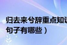 歸去來兮辭重點(diǎn)知識（歸去來兮辭當(dāng)中的重點(diǎn)句子有哪些）