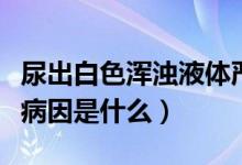尿出白色渾濁液體嚴(yán)重嗎（尿出白色渾濁液體病因是什么）