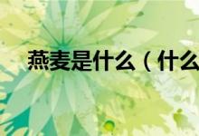 燕麥是什么（什么叫燕麥燕麥長什么樣）
