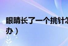 眼睛長(zhǎng)了一個(gè)挑針怎么辦（眼睛長(zhǎng)了挑針怎么辦）