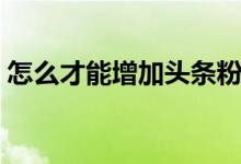 怎么才能增加頭條粉絲（怎么才能增長(zhǎng)增粗）