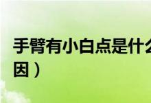 手臂有小白點(diǎn)是什么（手臂有小白點(diǎn)是什么原因）