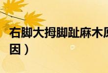 右腳大拇腳趾麻木原因(右腳大拇腳趾麻木原因)