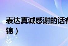 表達(dá)真誠(chéng)感謝的話有哪些（簡(jiǎn)短真誠(chéng)感謝語集錦）