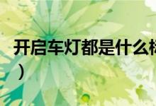 開啟車燈都是什么標(biāo)志（燈的圖標(biāo)分別是什么）