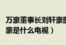 萬豪董事長(zhǎng)劉軒豪圖片（萬豪集團(tuán)董事長(zhǎng)劉軒豪是什么電視）