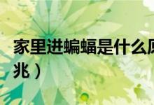 家里進蝙蝠是什么原因（家里進蝙蝠是什么預兆）