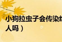 小狗拉蟲子會(huì)傳染給人嗎（小狗拉蟲子會(huì)傳染人嗎）