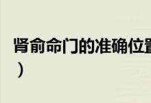 腎俞命門(mén)的準(zhǔn)確位置圖（腎俞命門(mén)的準(zhǔn)確位置）