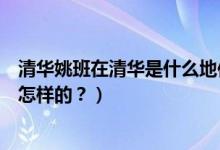 清華姚班在清華是什么地位（清華姚班是什么？選拔標準是怎樣的？）
